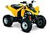 2018 Can-Am DS 250 for sale 200475107